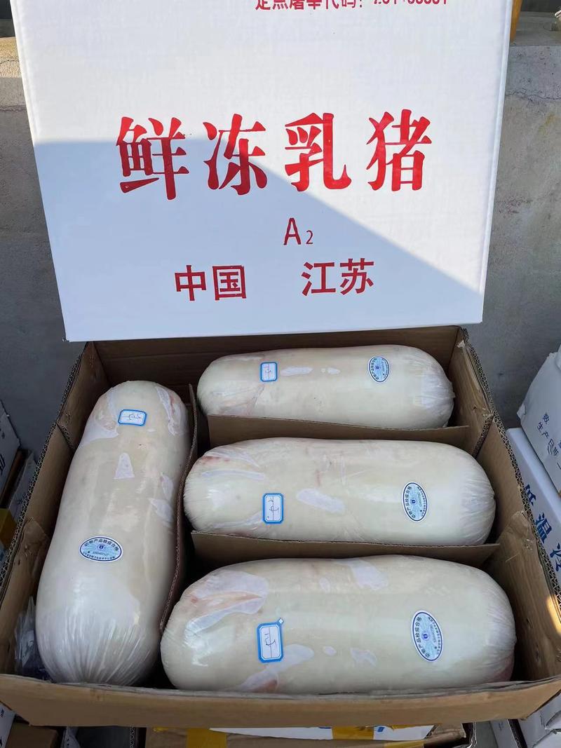 【乳猪】江苏厂家直供质量保证资质齐全量大优惠