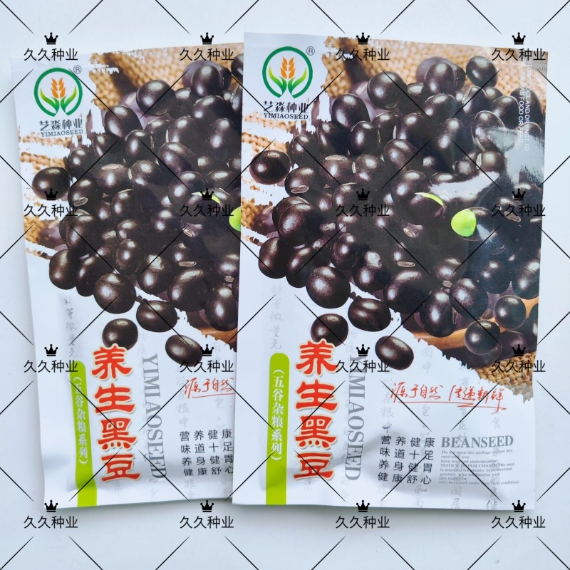 养身黑豆种子黑大豆发豆芽干净饱满非转基因农村自种