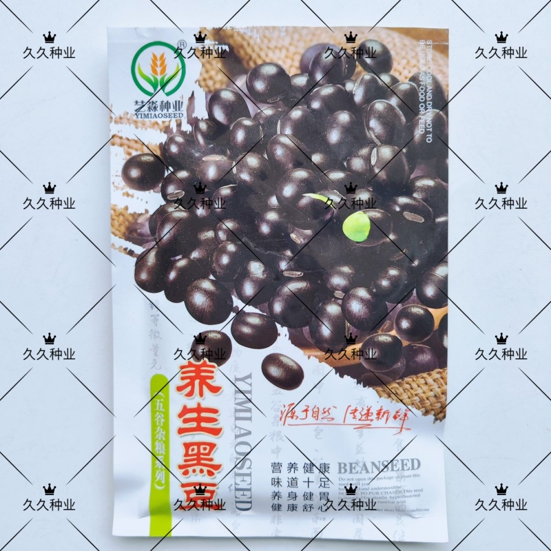 养身黑豆种子黑大豆发豆芽干净饱满非转基因农村自种