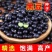 养身黑豆种子黑大豆发豆芽干净饱满非转基因农村自种