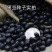 养身黑豆种子黑大豆发豆芽干净饱满非转基因农村自种