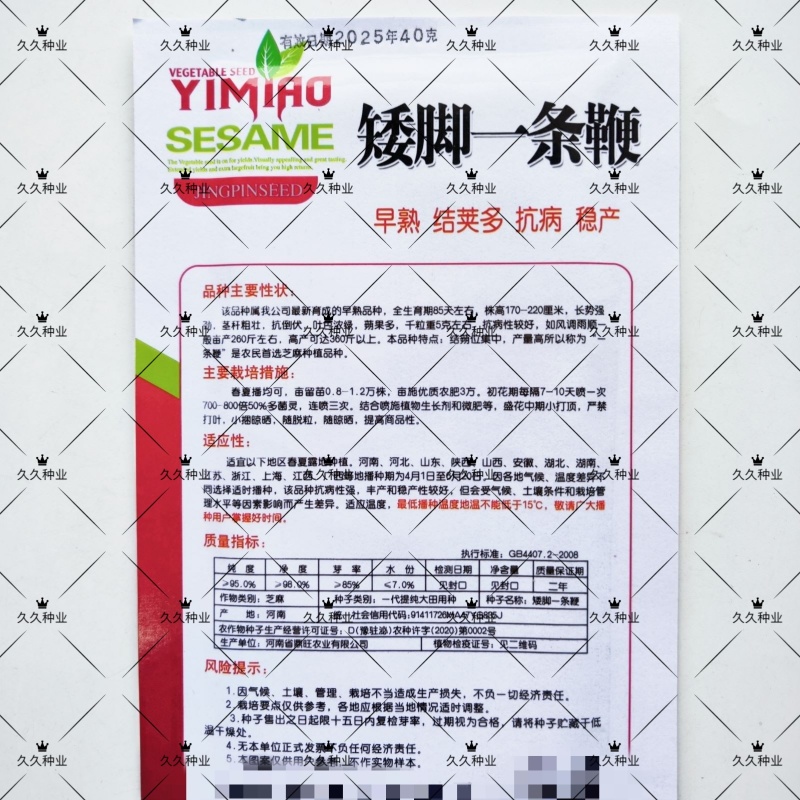 矮脚一条鞭白芝麻种子优质荚多早熟高产抗病农家春夏播农家蔬