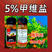 5%甲维盐杀虫剂蓟马小菜蛾菜青虫卷叶虫广谱高活性杀虫剂