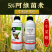 中科5%阿维菌素红蜘蛛斑潜蝇小菜蛾二化螟杂虫杀虫剂