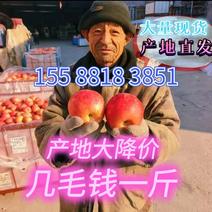苹果冰糖心红富士苹果，水晶富士赶集超市电商价格便宜