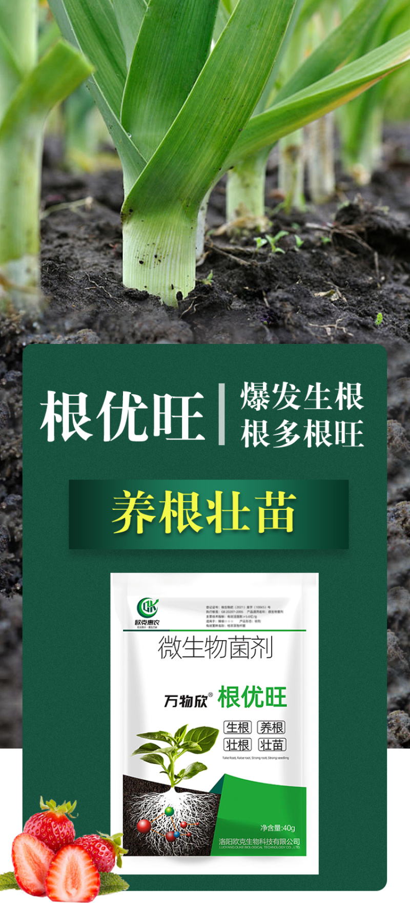 生根剂蘸根育苗移栽冲施肥抗重茬防死棵根腐病中药菌肥叶面肥