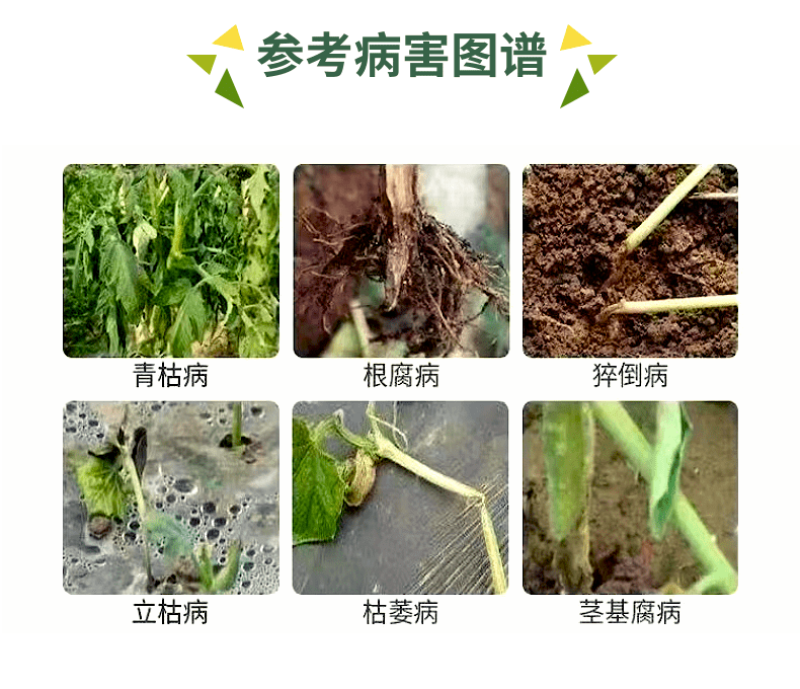 3%甲霜恶霉灵杀菌剂枯萎病立枯病根腐病茎基腐病根部病害杀