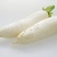 精品白萝卜，品质保证，产地直发，欢迎来电咨询