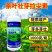 茶叶专用壮芽拉尖素壮芽嫩芽芽多浓密健壮植株增产提品质
