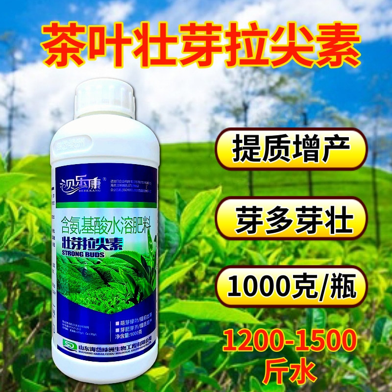 茶叶专用壮芽拉尖素壮芽嫩芽芽多浓密健壮植株增产提品质