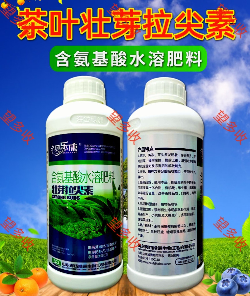 茶叶专用壮芽拉尖素壮芽嫩芽芽多浓密健壮植株增产提品质