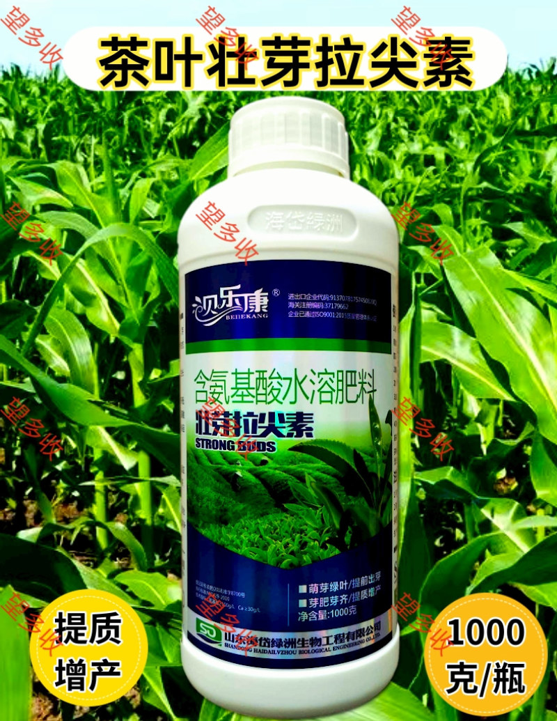 茶叶专用壮芽拉尖素壮芽嫩芽芽多浓密健壮植株增产提品质