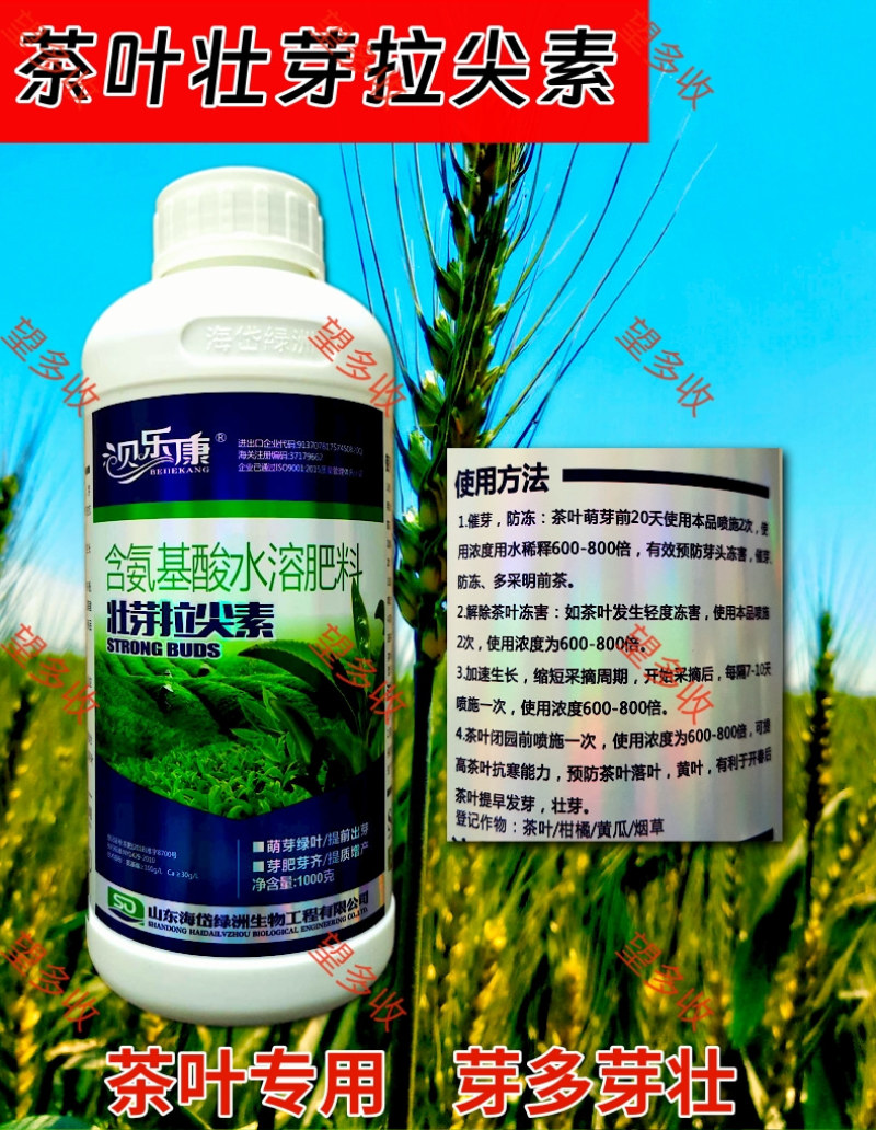 茶叶专用壮芽拉尖素壮芽嫩芽芽多浓密健壮植株增产提品质
