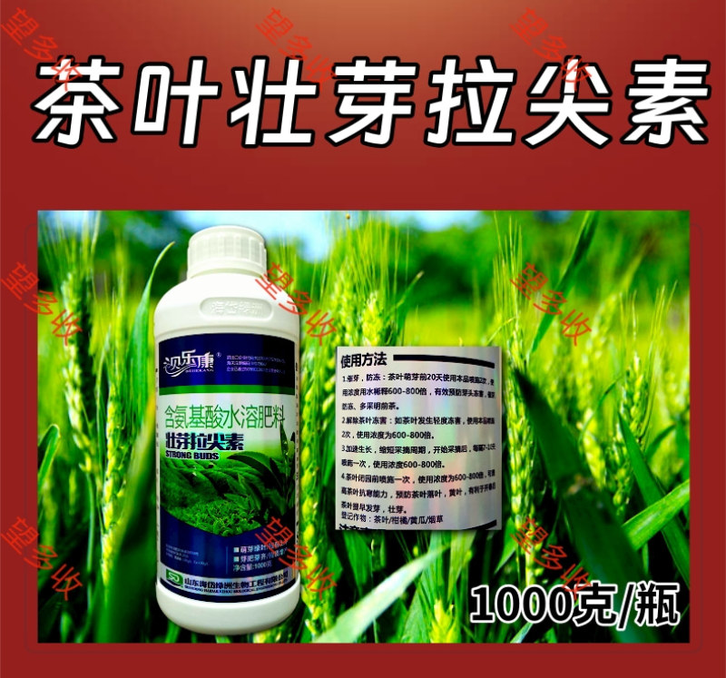 茶叶专用壮芽拉尖素壮芽嫩芽芽多浓密健壮植株增产提品质