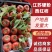【江苏硬粉西红柿】连云港西红柿大量有货果行圆硬度好