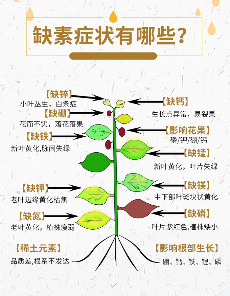 腐植酸叶面肥冲施肥保花膨果生根提苗蔬菜果树小麦玉米水稻肥