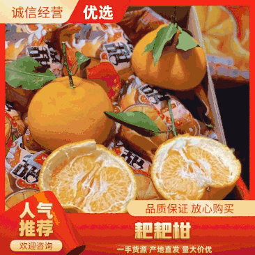 【精选优质】（抖音)一件代发，四川丑橘黄果柑~大量现货
