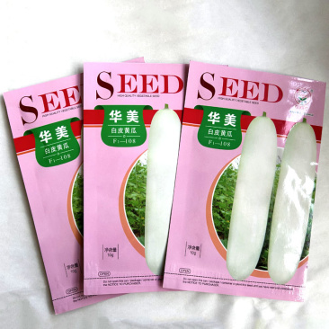 白黄瓜种子早熟肉厚甜脆无渣瓜条顺直富美瓜多水果型耐热