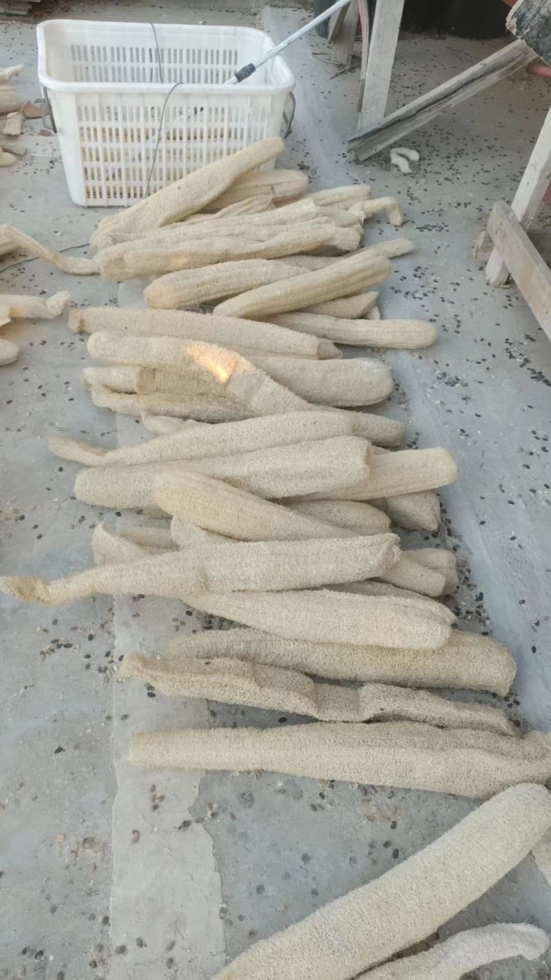 安徽丝瓜络品质保证，能做鞋垫能做洗碗布，欢迎联系