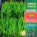 精选8号线椒软皮线椒一手货源，大量供应，发全国
