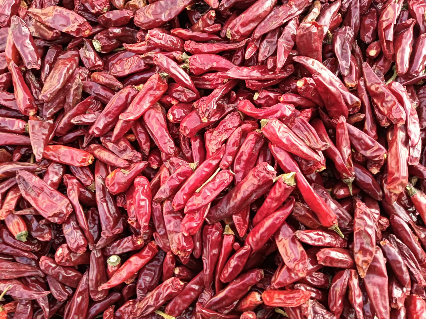 干辣椒发黄特写
