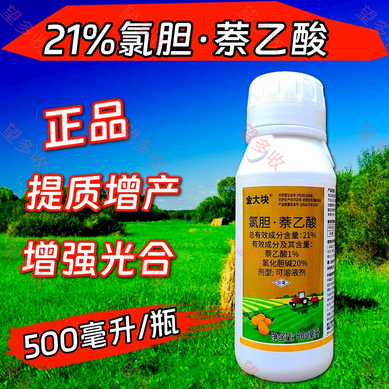 21%氯胆萘乙酸根茎膨大提质增产地下作物调节生长500毫