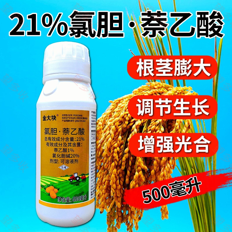 21%氯胆萘乙酸根茎膨大提质增产地下作物调节生长500毫