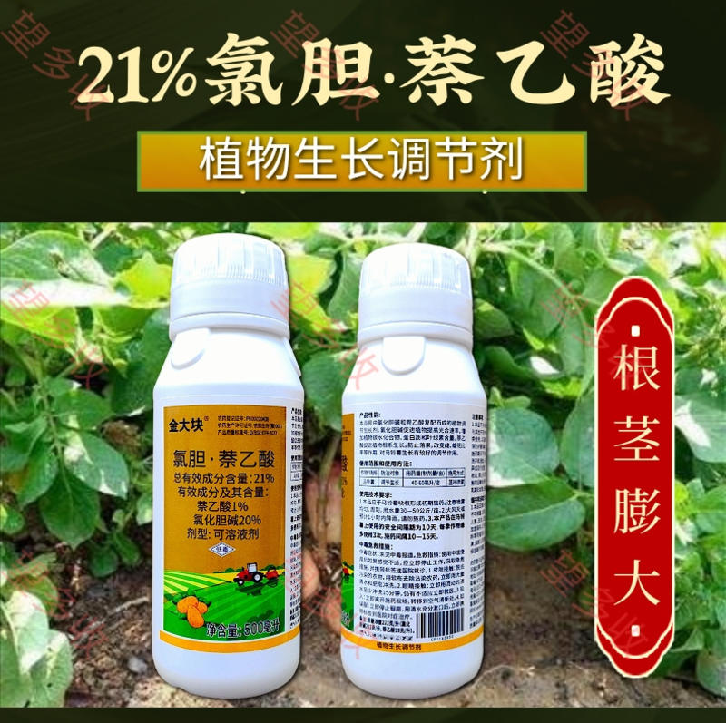 21%氯胆萘乙酸根茎膨大提质增产地下作物调节生长绿叶提苗