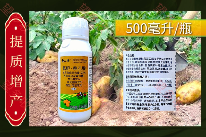 21%氯胆萘乙酸根茎膨大提质增产地下作物调节生长500毫