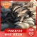 【精品】平菇蘑菇大量上市规格齐全货源稳定，全国发货