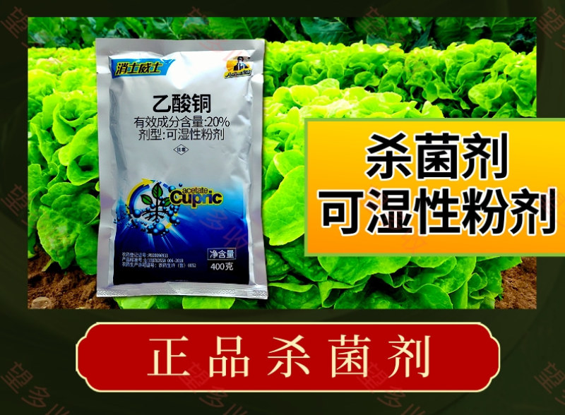 20%乙酸铜苗期猝倒病细菌病害根腐病农药杀菌剂