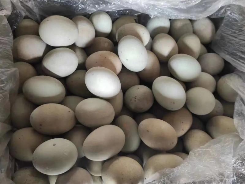 【热销】松花蛋大量现货量大从优现货先发欢迎电话联系