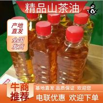 广西精品山茶油基地直发品质保证量大从优欢迎
