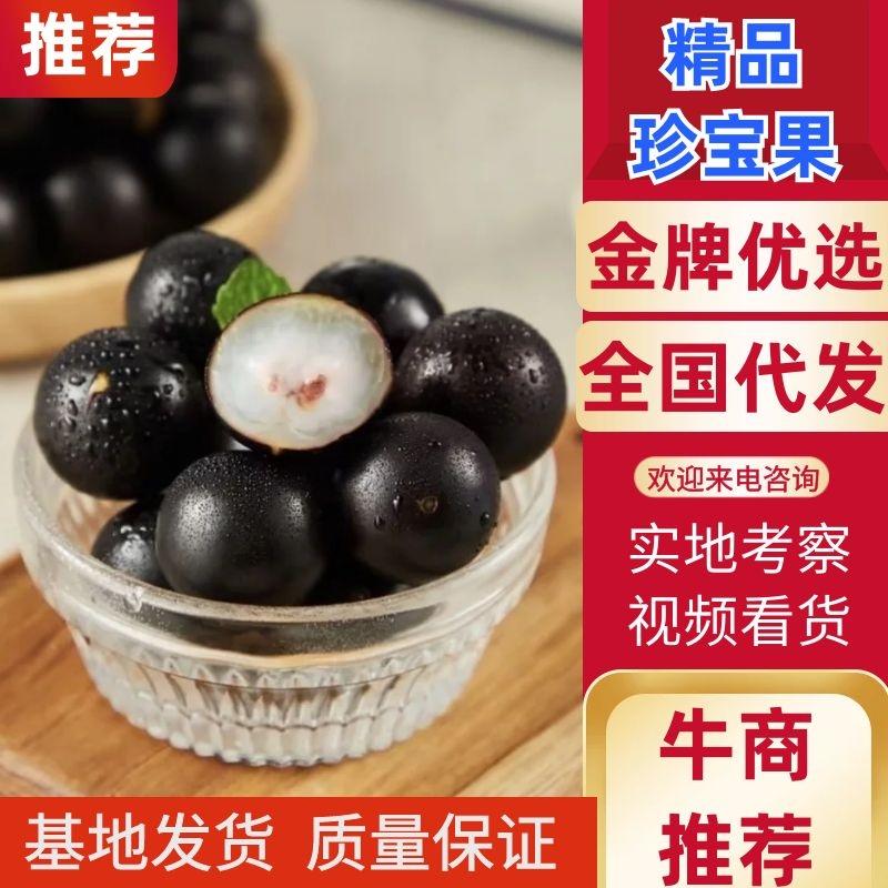 天津精品珍宝果，规格多样可选，产地一手货源新鲜保质