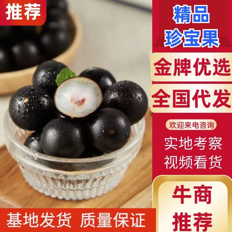 珍宝果，天津产地一手货源，货源充足稳定对接大型批发商