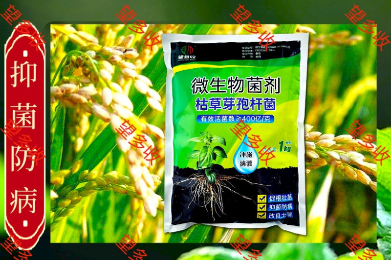 枯草芽孢杆菌+矿源黄腐酸钾改良土壤生根养地抗茬防病