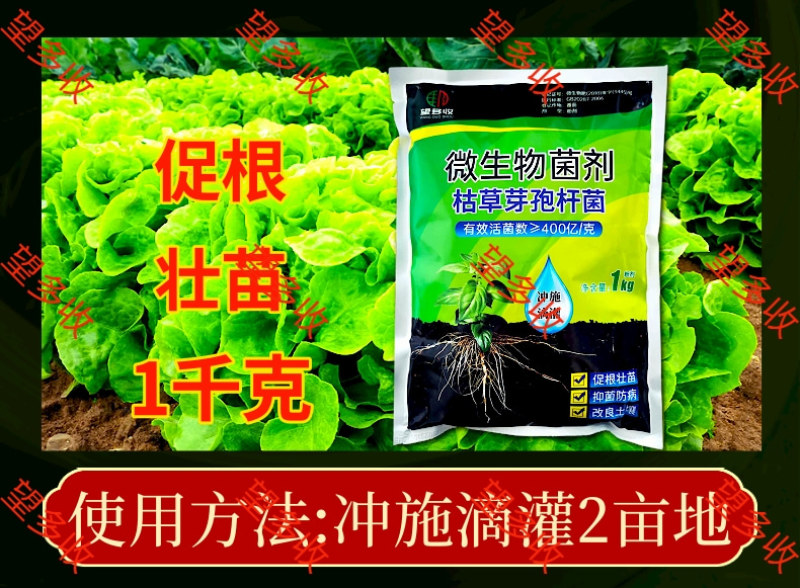 枯草芽孢杆菌+矿源黄腐酸钾改良土壤生根养地抗茬防病