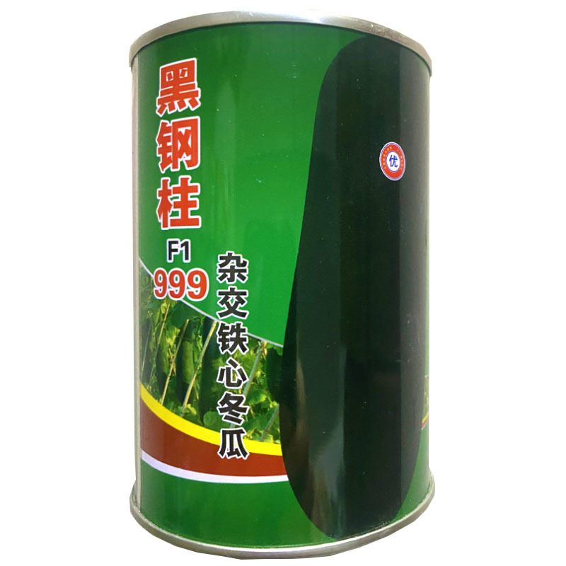 铁心冬瓜种子黑刚柱9肉厚腔小杂交肉质致密清甜卖相好