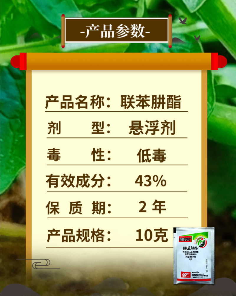 中科43%联苯肼酯柑橘抗性红蜘蛛专用螨卵双杀螨害