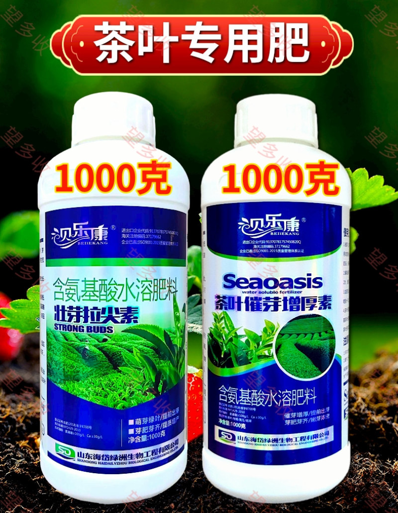 茶叶催芽增厚素催芽壮株抗冻提前出芽嫩芽浓密整齐