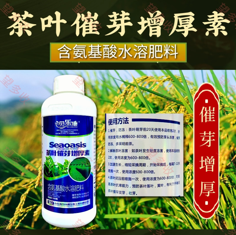 茶叶催芽增厚素催芽壮株抗冻提前出芽嫩芽浓密整齐