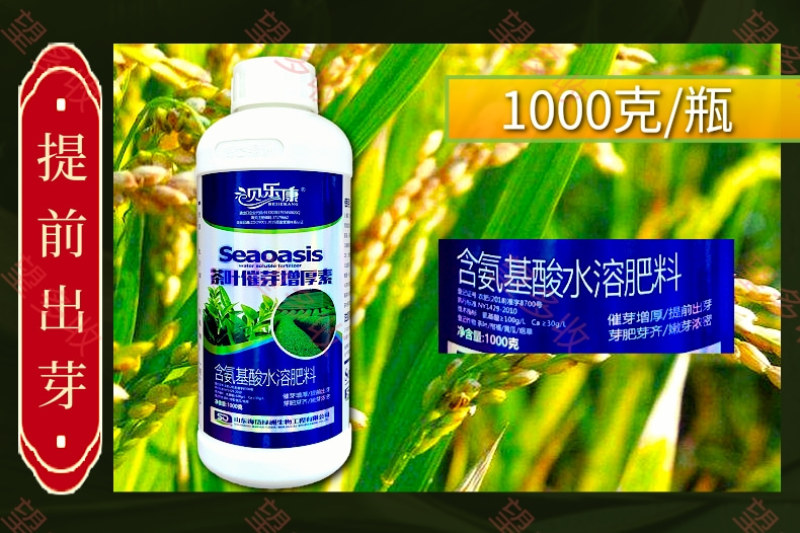 茶叶催芽增厚素催芽壮株抗冻提前出芽嫩芽浓密整齐