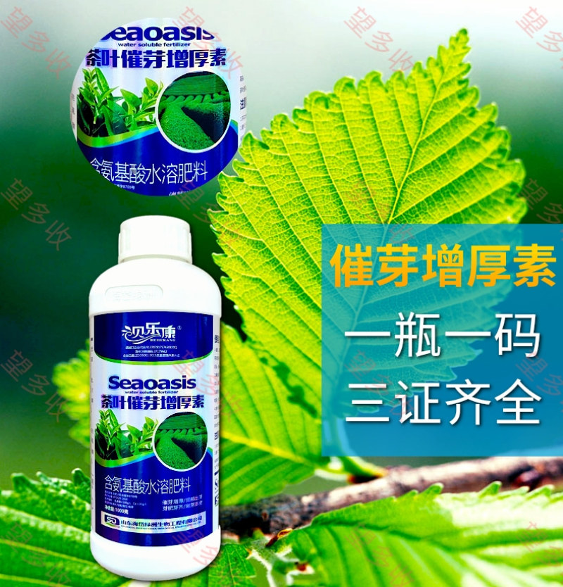茶叶催芽增厚素催芽壮株抗冻提前出芽嫩芽浓密整齐