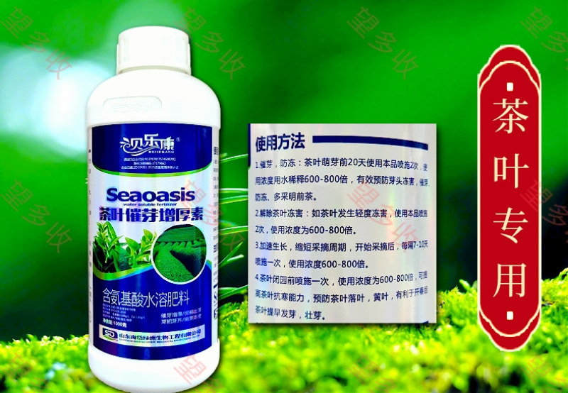 茶叶催芽增厚素催芽壮株抗冻提前出芽嫩芽浓密整齐