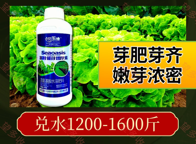茶叶催芽增厚素催芽壮株抗冻提前出芽嫩芽浓密整齐
