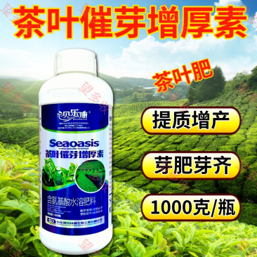 茶叶催芽增厚素催芽壮株抗冻提前出芽嫩芽浓密整齐