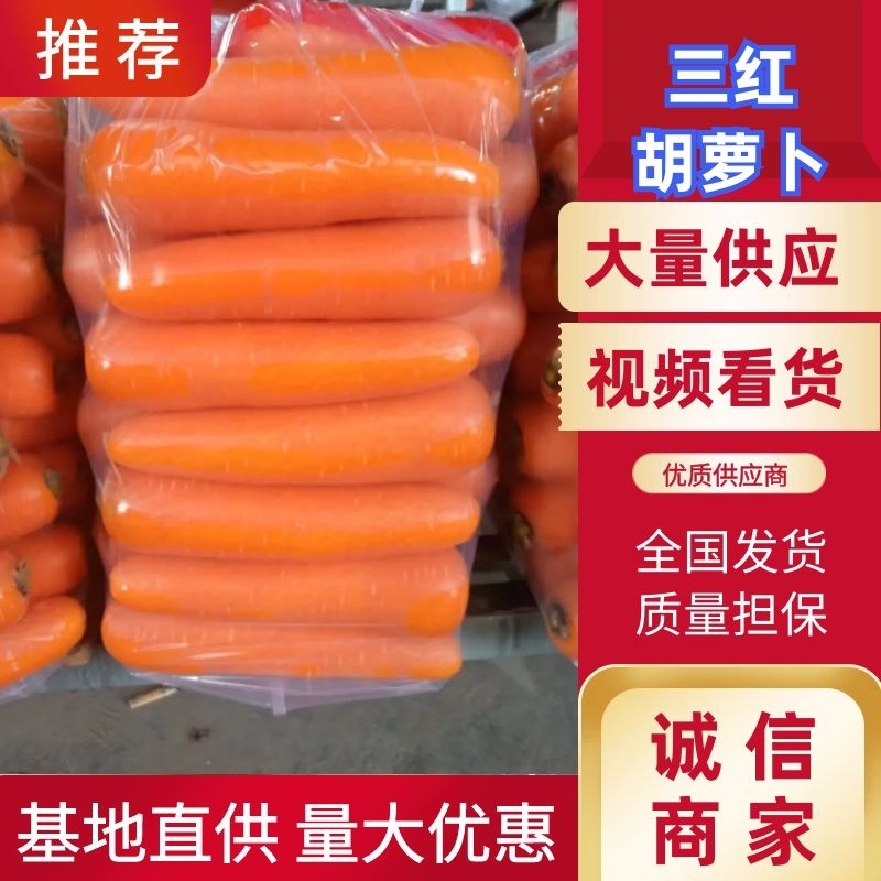 开封新鲜三红萝卜大量上市了，支持全樱，水洗打包分级各种规格