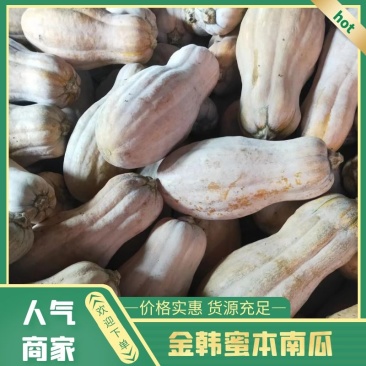 金韩蜜本南瓜，基地直供(八月份上市保质保量欢迎来电咨询