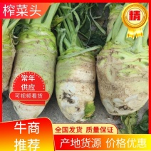 四川大头菜，榨菜头大量上市，市场货工厂货，欢迎来电咨询