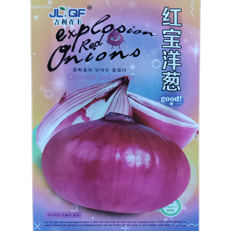 紫红洋葱种子半高桩紫红色大果红宝大洋葱蔬菜种籽辛辣味浓
